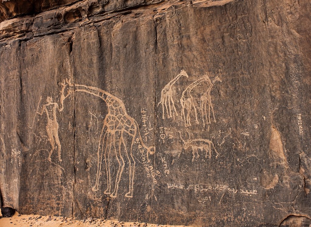 A dark Saharan rock wall engraved with large pale giraffes and, among them, rows of ancient Tifinagh characters
