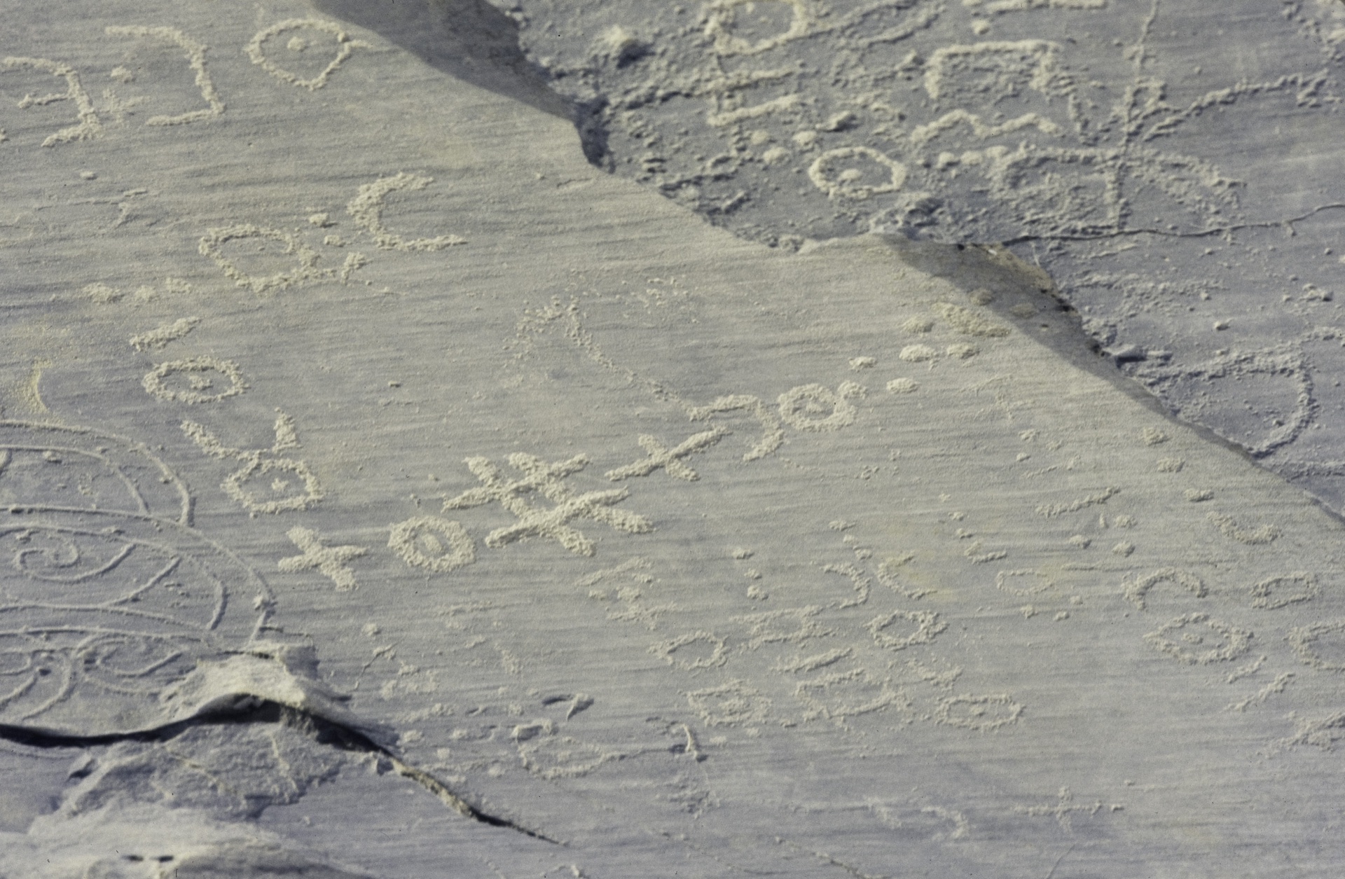 Rows of angular Tifinagh characters — circles, crosses and dots — carved into a slab of desert stone