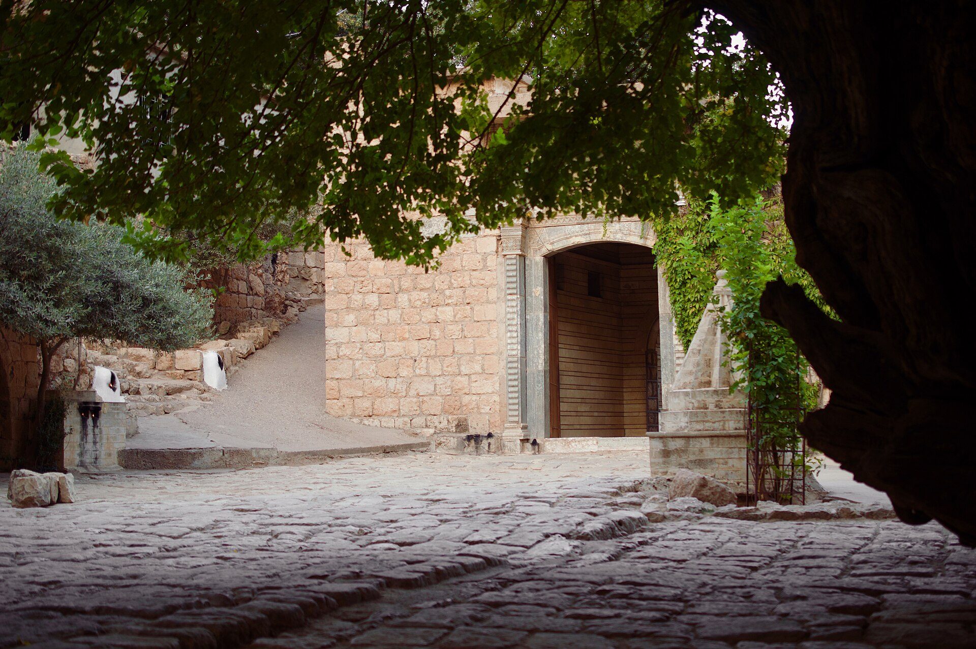 The stone courtyard and arched entrance of the main sanctuary at Lalish, shaded by an old mulberry tree