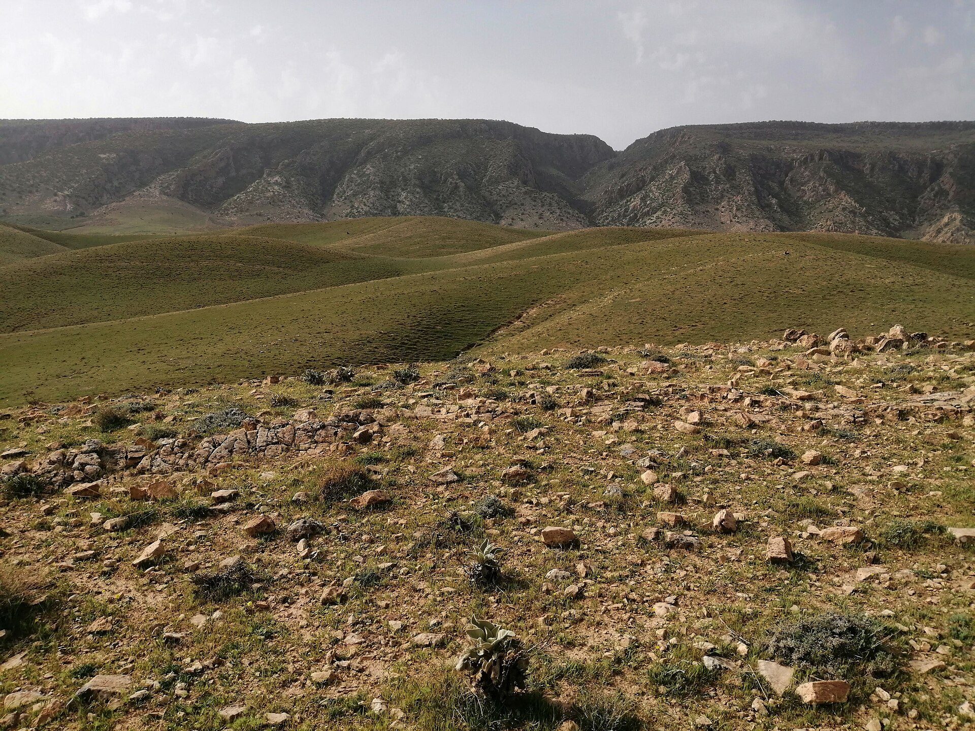 The long ridge of the Sinjar mountains rising from the plain in northern Iraq